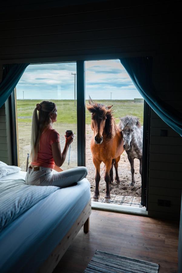 霍尔斯沃德吕尔Sleeping With The Horses公寓 外观 照片